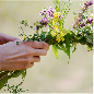 SECTION_BANNERS-15