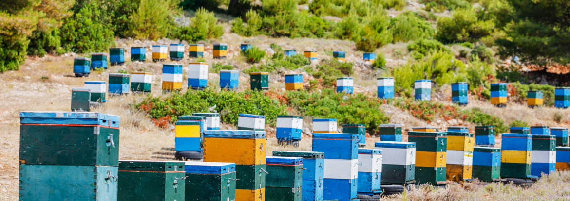 BEEKEEPER